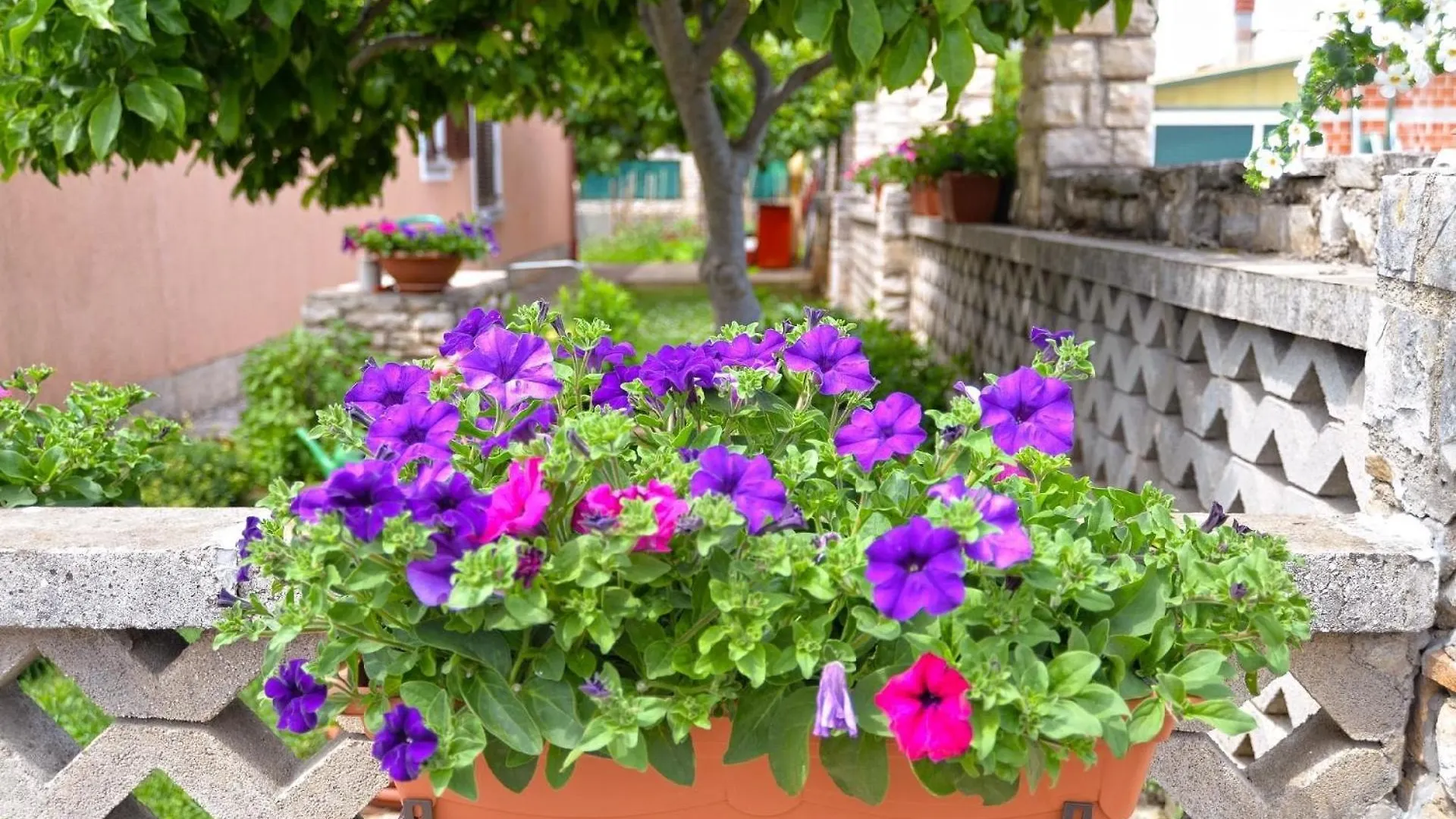 Apartment Ferienwohnung Fuer 2 Personen Ca 30 Qm In Novigrad, Istrien Istrische Riviera Karpinjan